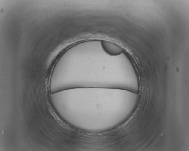 X0000084541503200703091640