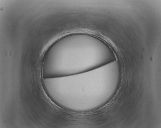 X0000084541504200703091640