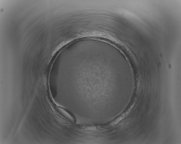 X0000084541505200703091640