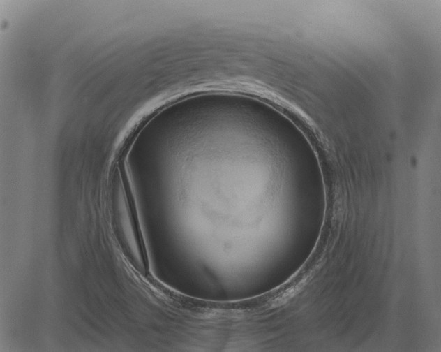 X0000084541506200703091640