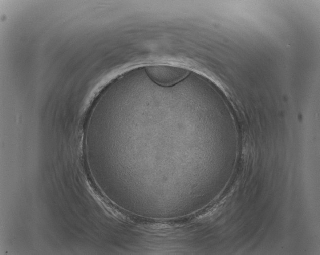 X0000084541507200703091640