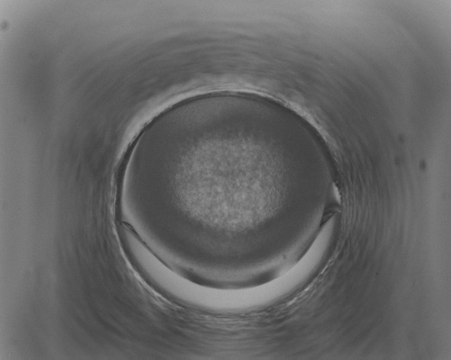 X0000084541508200703091640