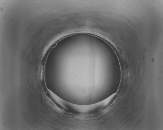 X0000084541510200703091640