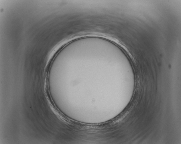 X0000084541511200703091640