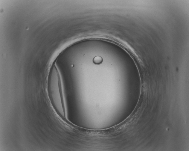 X0000084541512200703091640