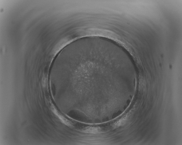 X0000084541513200703091640