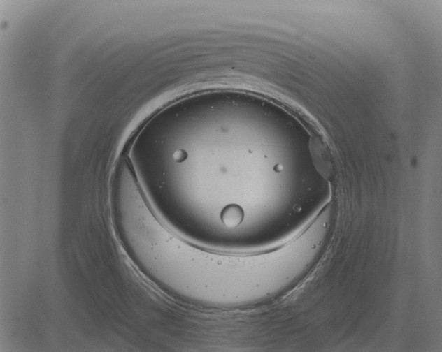 X0000084541514200703091640