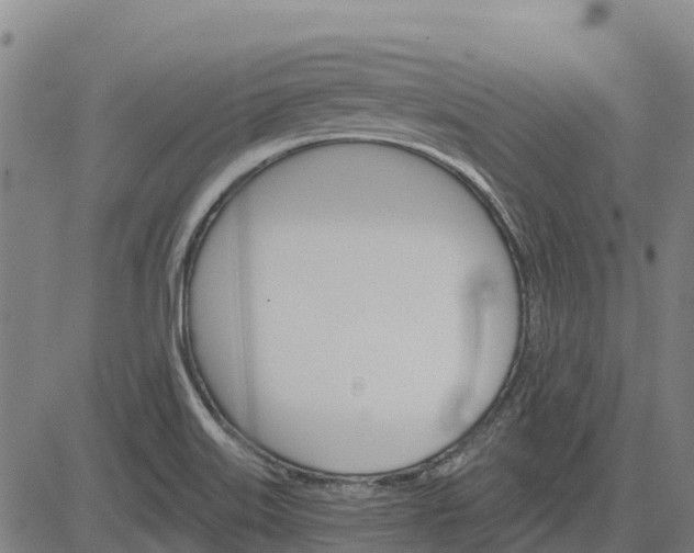 X0000084541515200703091640