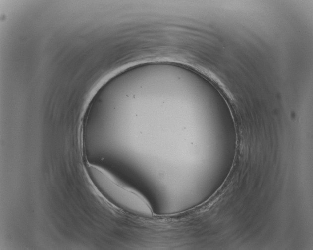 X0000084541516200703091640