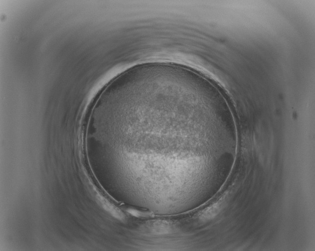 X0000084541517200703091640