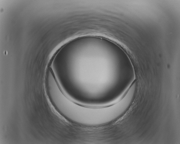 X0000084541518200703091640