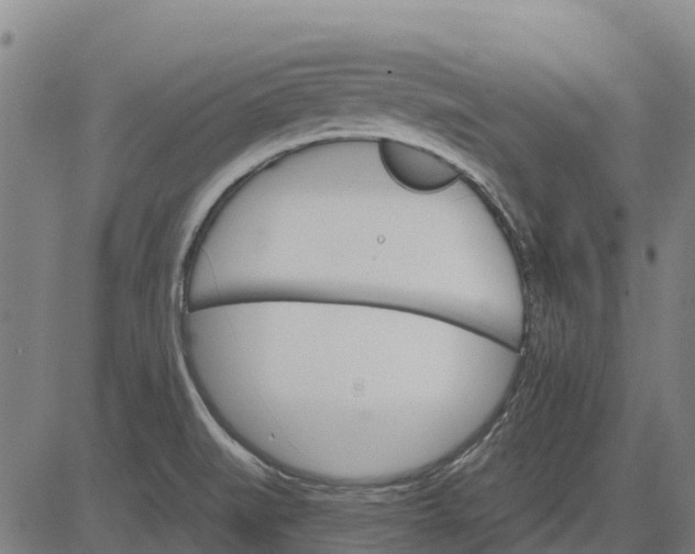 X0000084541519200703091640