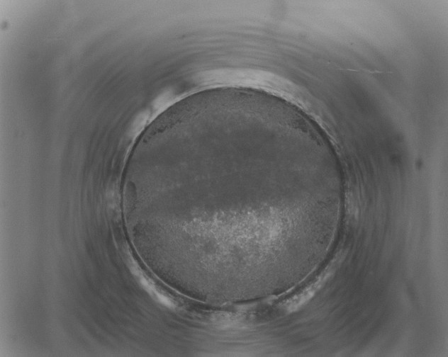 X0000084541521200703091640