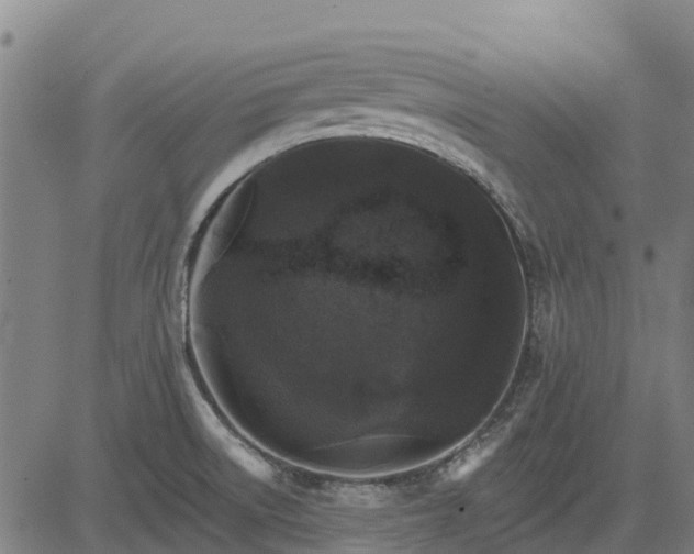 X0000084541522200703091640