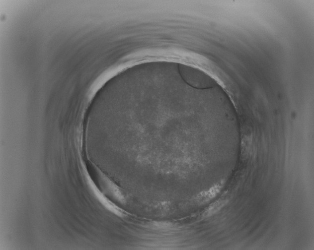 X0000084541523200703091640