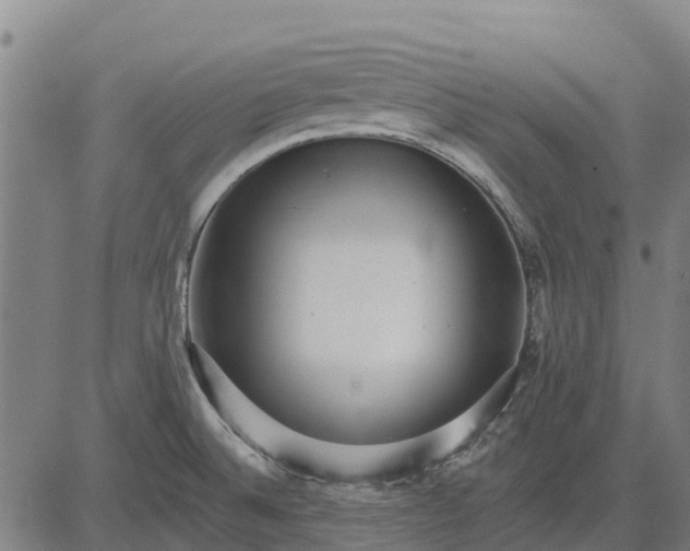 X0000084541524200703091640