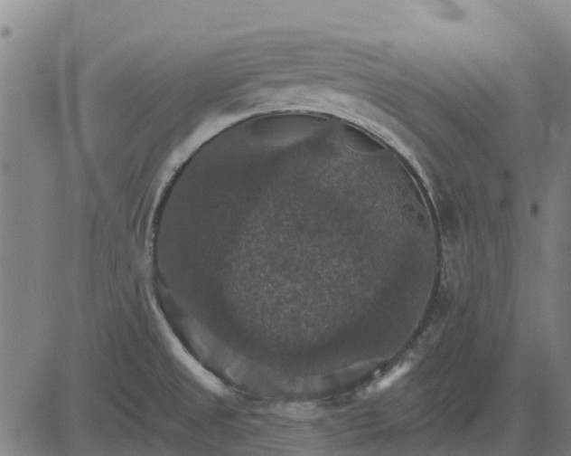 X0000084541525200703091640