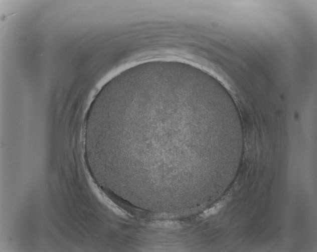 X0000084541526200703091641