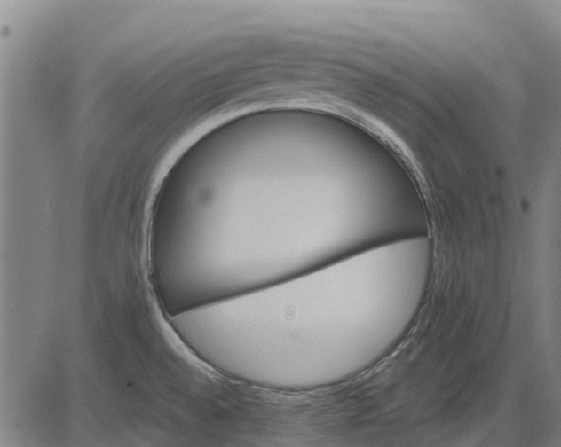 X0000084541528200703091641