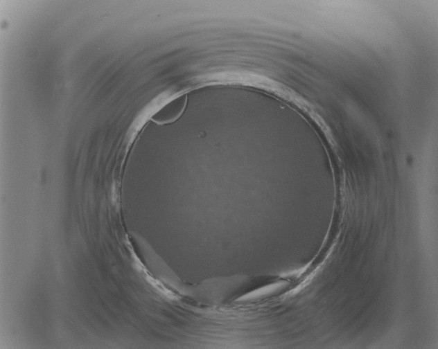 X0000084541529200703091641