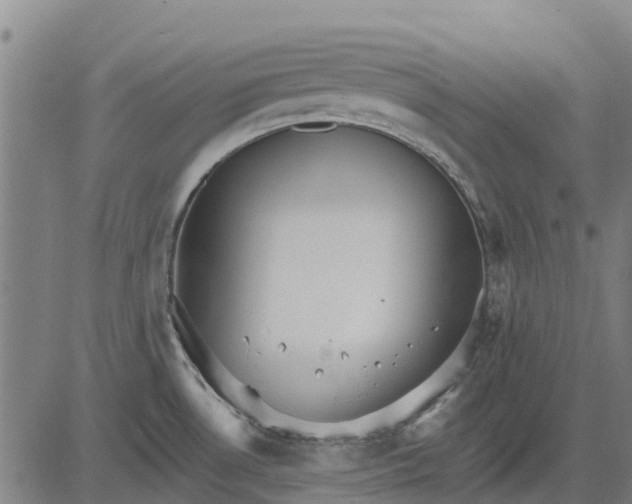 X0000084541530200703091641