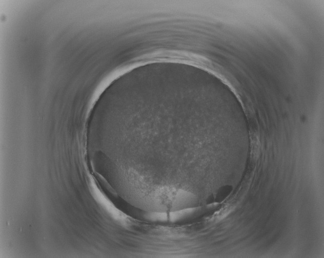 X0000084541531200703091641