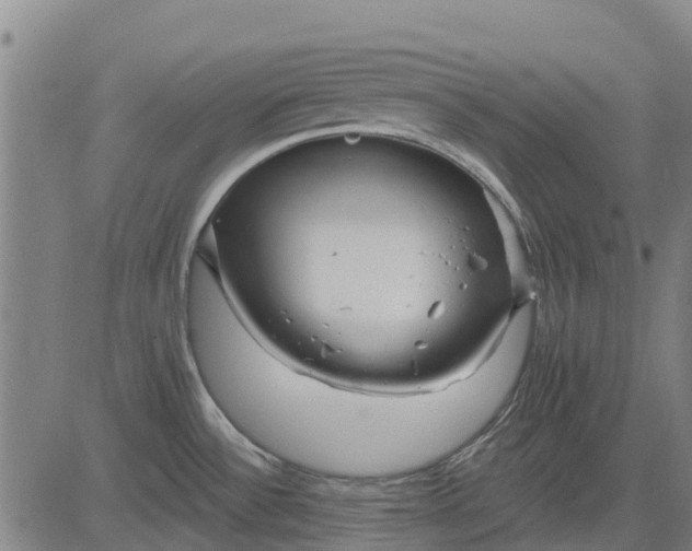 X0000084541532200703091641