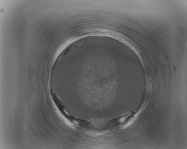 X0000084541533200703091641