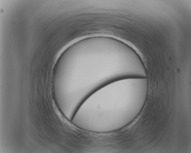 X0000084541534200703091641