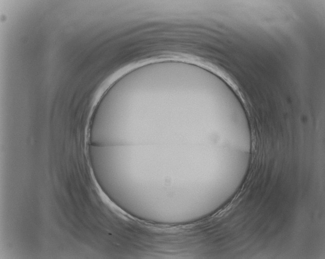 X0000084541535200703091641