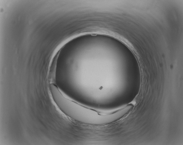 X0000084541536200703091641