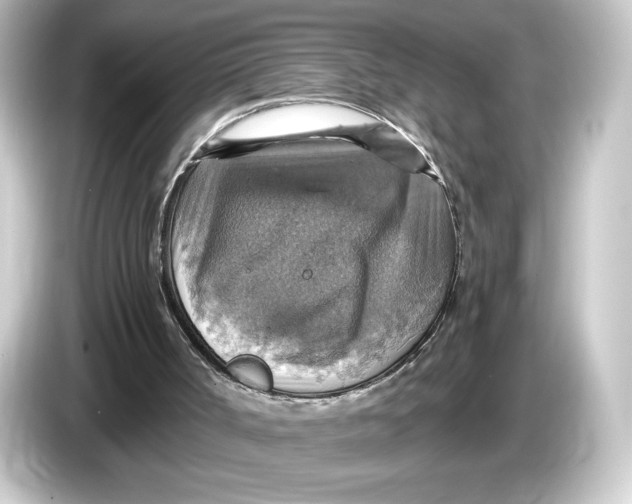 X0000084540002200703161637