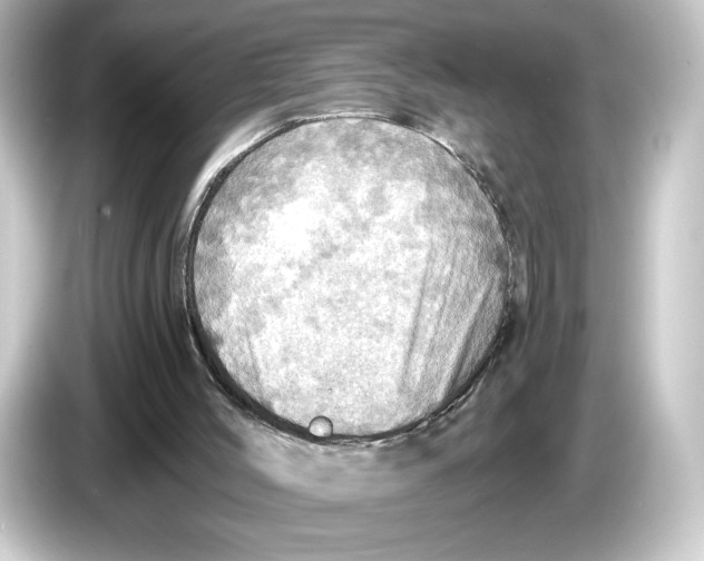 X0000084540004200703161637