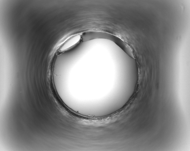 X0000084540005200703161637