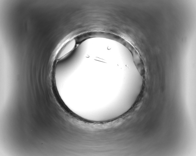 X0000084540007200703161637