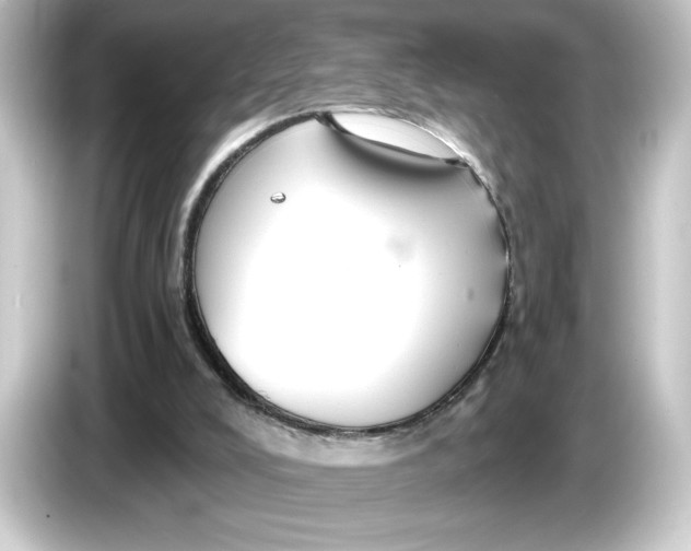 X0000084540008200703161637