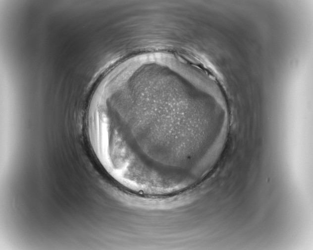 X0000084540010200703161637