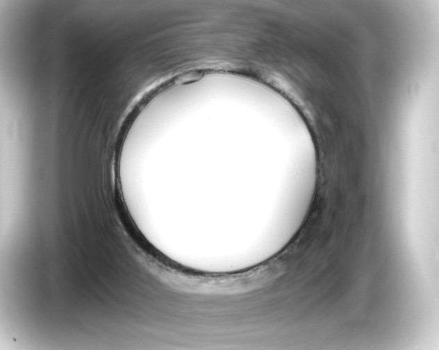 X0000084540011200703161637