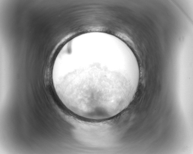 X0000084540012200703161637