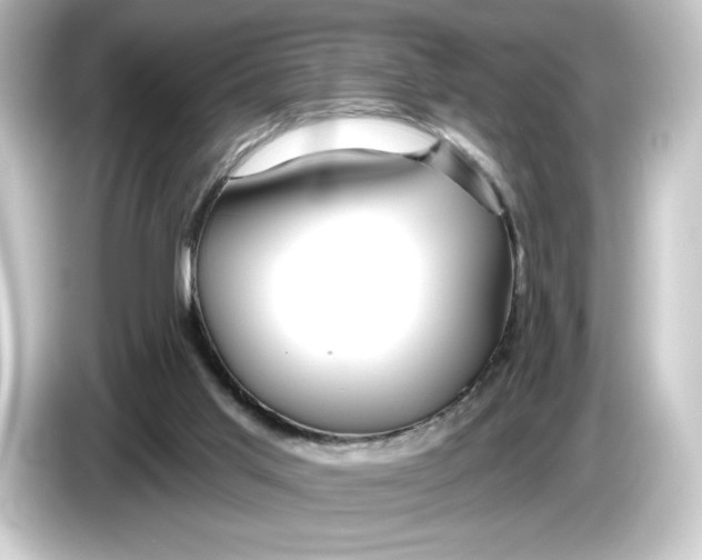 X0000084540013200703161636