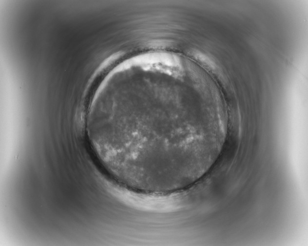 X0000084540016200703161636