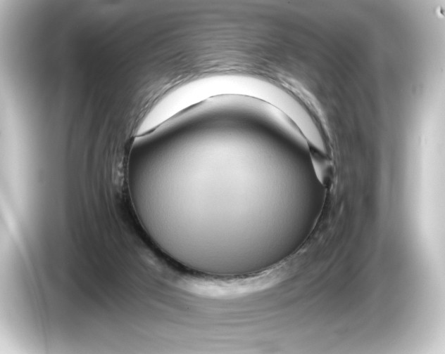 X0000084540017200703161636