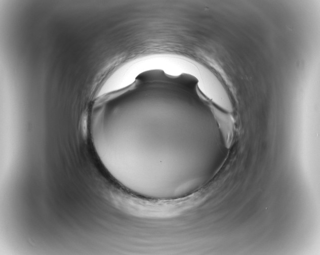 X0000084540019200703161636