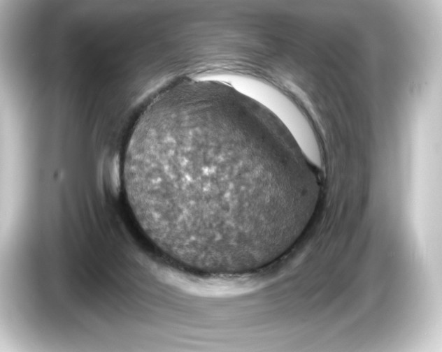 X0000084540020200703161636