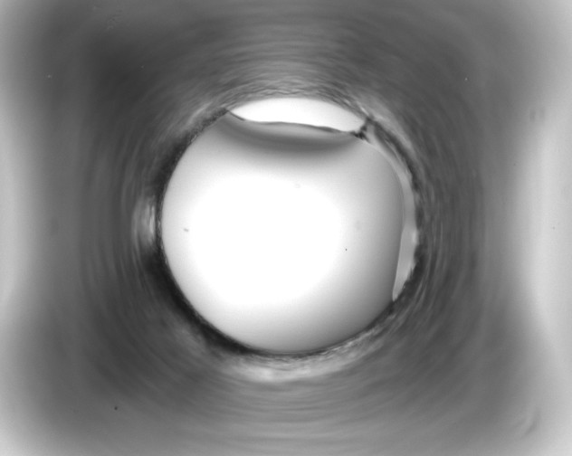 X0000084540021200703161636