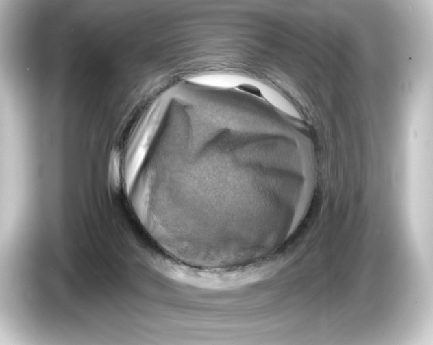 X0000084540022200703161636