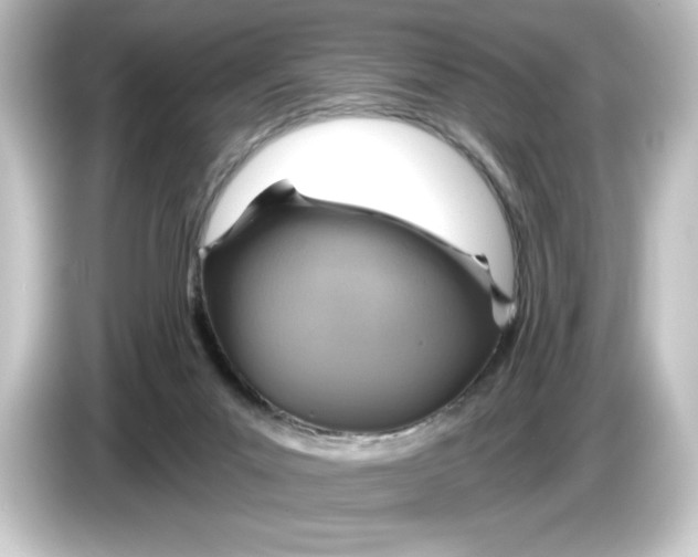 X0000084540023200703161636