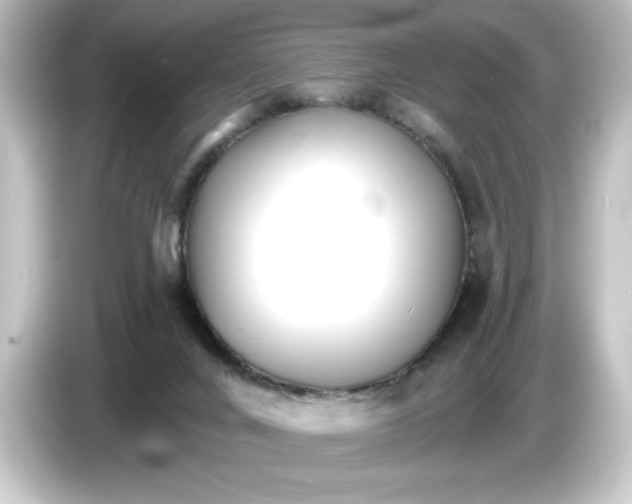 X0000084540024200703161636