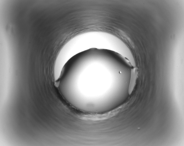 X0000084540025200703161636