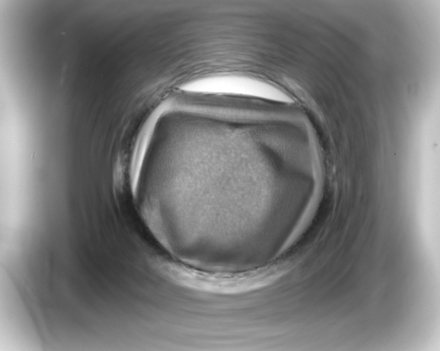 X0000084540026200703161636